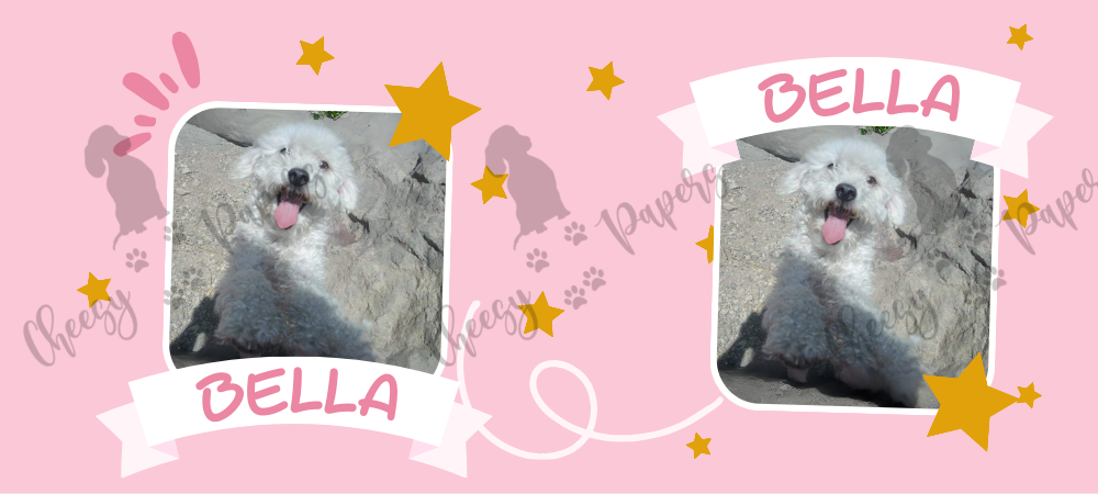 Taza Personalizada con tu Peludit@
