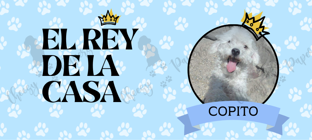 Taza Personalizada con tu Peludit@