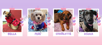 Taza Personalizada con tu Peludit@