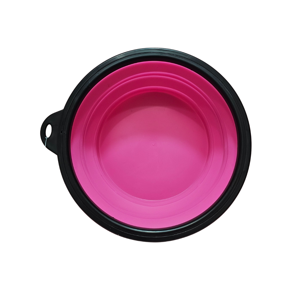 Plato Plegable - L