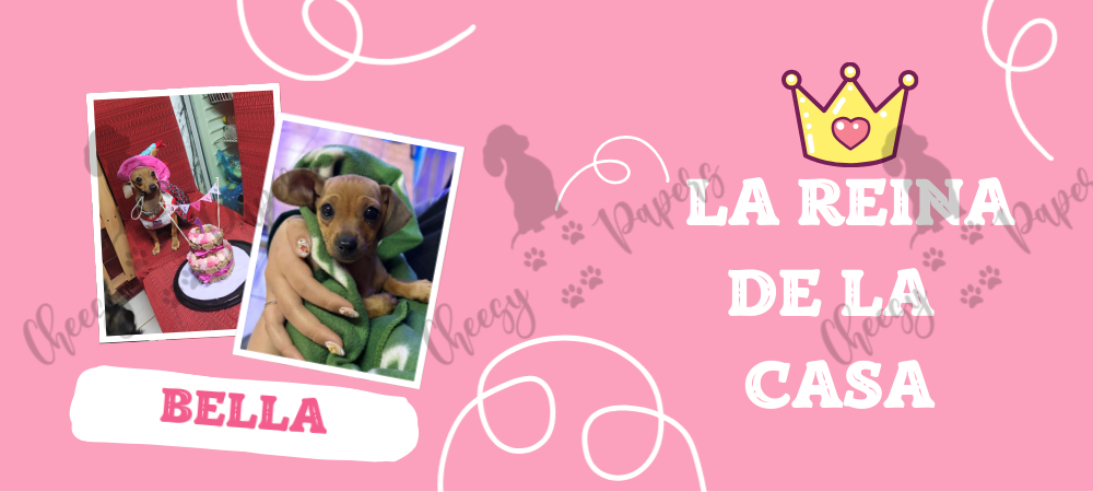 Taza Personalizada con tu Peludit@